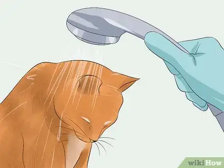 Image titled Make Your Cat's Fur Soft and Shiny Step 12