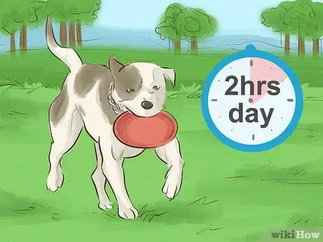 Image titled Keep Your Dog Happy Step 13