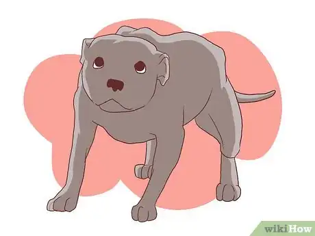 Image titled Help Your Dog Deal with the Death of Another Dog Step 7