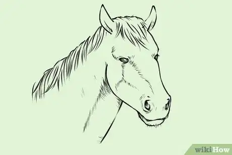 Image titled Draw a Horse Step 20