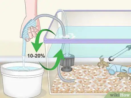 Image titled Care for African Dwarf Frogs Step 10