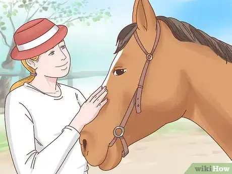 Image titled Take Care of Your Horse Step 17