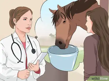 Image titled Recognize and Treat Colic in Horses Step 15