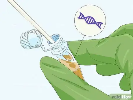 Image titled Determine Genotype Step 6