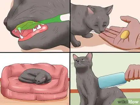 Image titled Encourage Your Cat to Go to Sleep Step 9