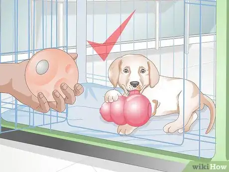 Image titled Get Your Puppy To Sleep in Its Own Bed Step 13