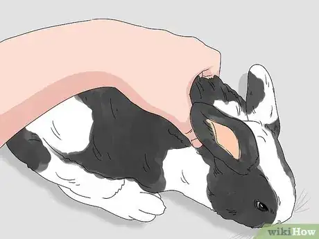 Image titled Pick up a Rabbit Step 4