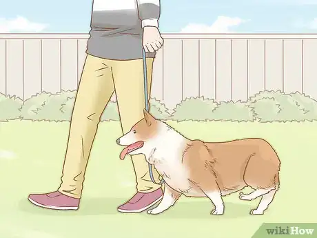 Image titled Take Care of a Dog Step 14
