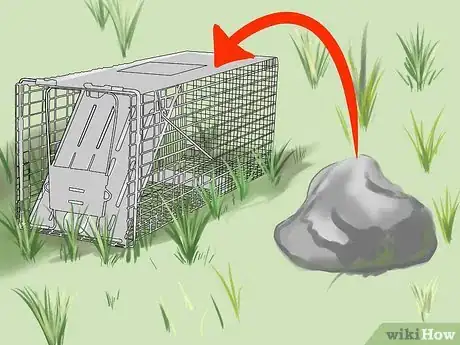 Image titled Trap a Groundhog Step 5