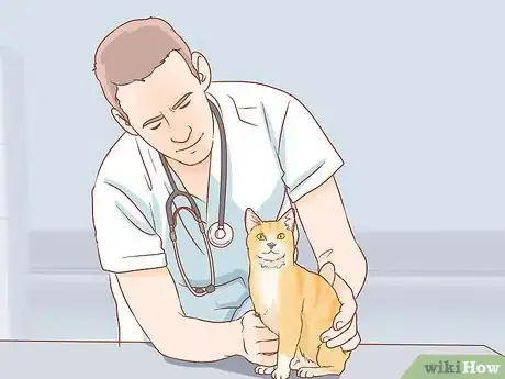 Image titled Help a Deaf Cat Step 10