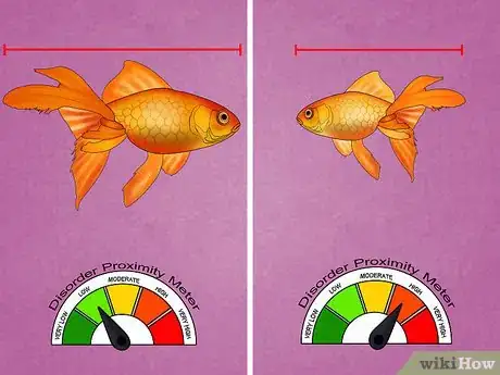 Image titled Fix Swim Bladder Disease in Goldfish Step 2