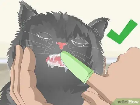 Image titled Eliminate Cat Odors Around the House Step 12