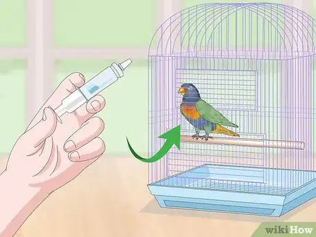 Image titled Treat Psittacine Beak and Feather Disease in Lories and Lorikeets Step 11