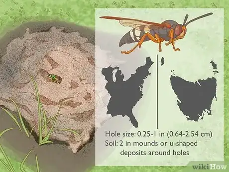 Image titled How Do You Identify Burrowing Animal Holes Step 14