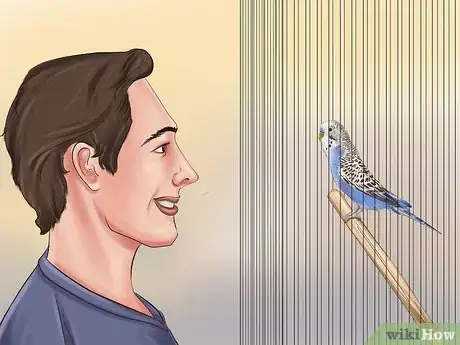 Image titled Teach Your Parakeet to Love You Step 7
