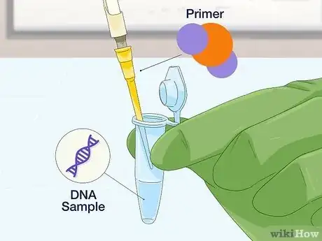 Image titled Determine Genotype Step 7