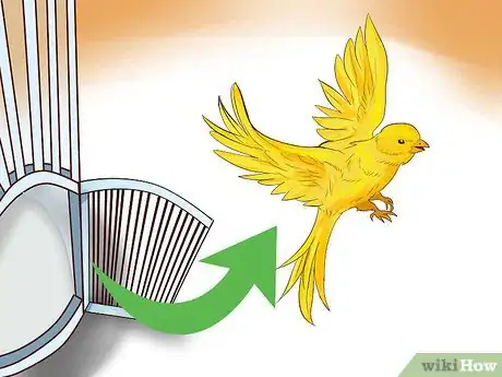 Image titled Keep a Canary Entertained Step 7