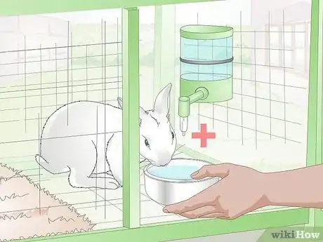 Image titled Choose a Water Dish for Your Rabbit Step 10