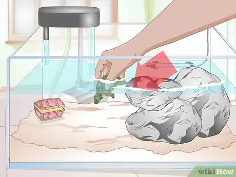 Image titled Clean a Turtle Tank Step 16