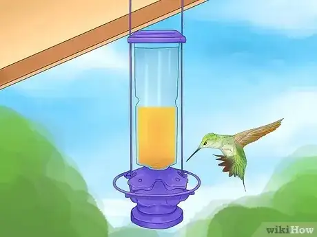 Image titled Why Do Hummingbirds Chase Each Other Step 8