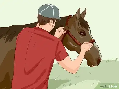Image titled Break a Horse Step 3