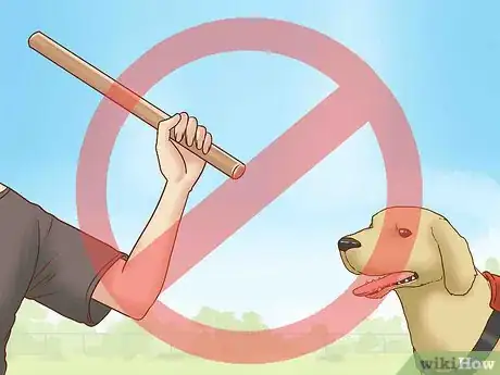 Image titled Get Your Dog's Attention Step 6