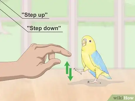 Image titled Deal with Parrotlet Aggression Step 5