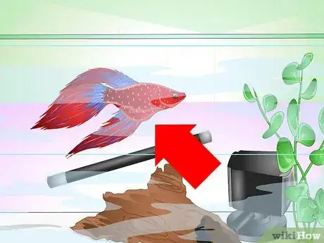 Image titled Have a Happy Betta Fish Step 12