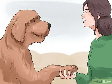 Image titled Teach Your Dog to Shake Hands Step 7