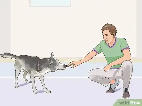 Image titled Gain Trust in an Aggressive Dog Step 7