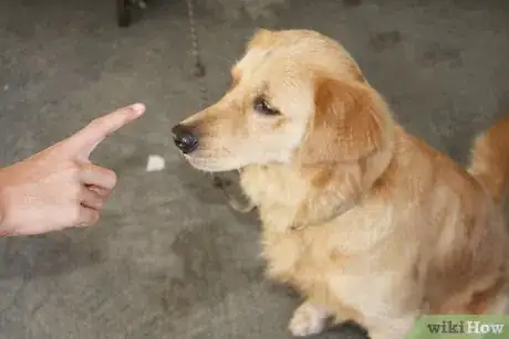 Image titled Control Your Dog's Behavior by Becoming Pack Leader Step 11