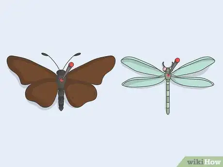 Image titled Prepare Insects for Pinning Step 10