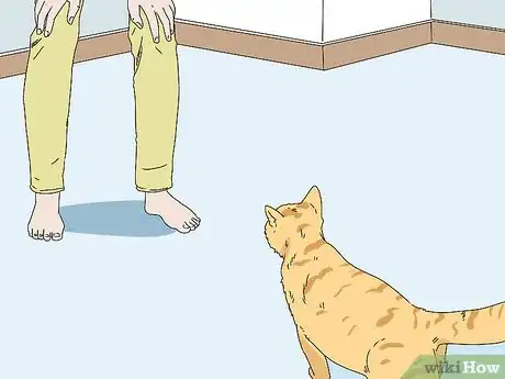 Image titled Make a Cat Comfortable Around You Step 10
