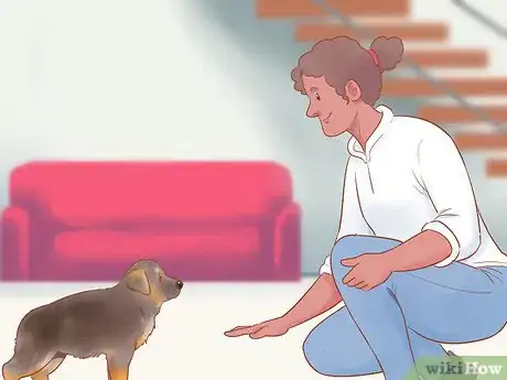 Image titled Choose a German Shepherd Puppy Step 25
