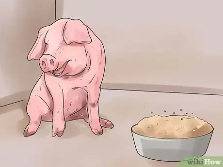 Image titled Care for a Pig With Pneumonia Step 1