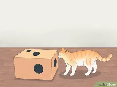 Image titled Get a Cat for a Pet Step 17