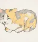 Draw a Cat