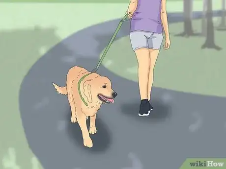 Image titled Teach Your Dog to Heel Step 14