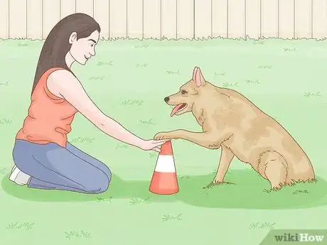Image titled Stop a Dog from Humping Step 11