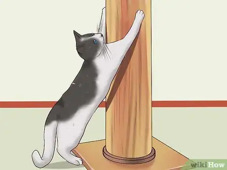 Image titled Stop a Cat from Clawing Furniture Step 3