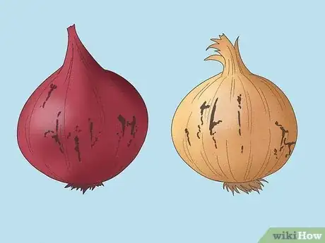Image titled Tell if an Onion Is Bad Step 1