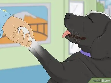 Image titled Choose a Pet Step 15