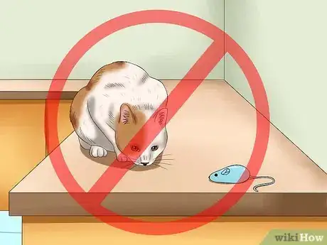 Image titled Prevent Cats from Jumping on Counters Step 16