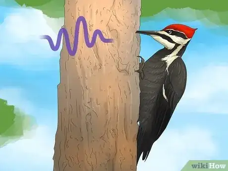 Image titled Why Do Woodpeckers Peck Wood Step 3