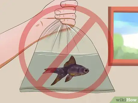 Image titled Treat Tropical Fish With White Spot Disease (ich) Step 13