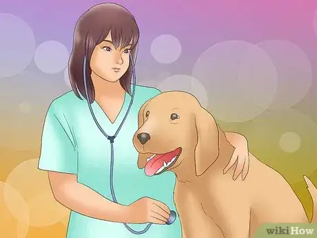 Image titled Recognize Kennel Cough in Dogs Step 10