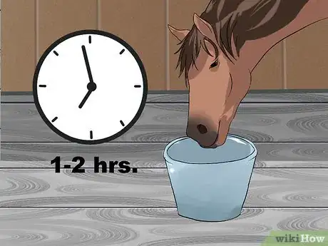 Image titled Recognize and Treat Colic in Horses Step 17