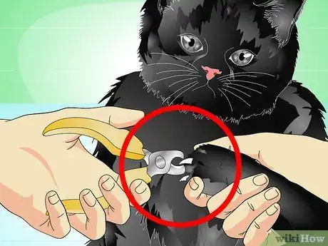 Image titled Train Your Cat Not to Scratch the Furniture Step 7