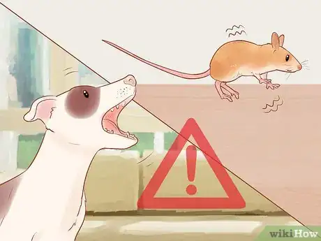 Image titled Avoid Frightening Your Pet Mouse Step 11