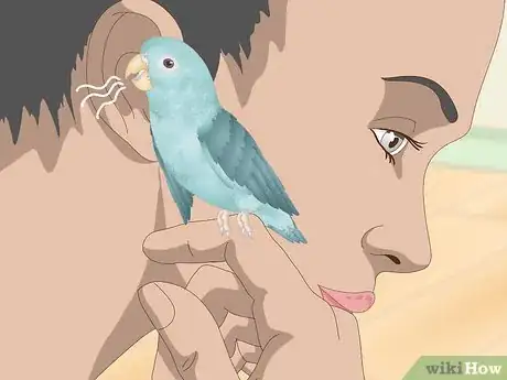 Image titled Spot Signs of Illness in Parrotlets Step 5